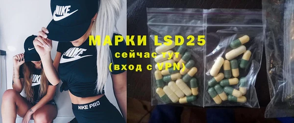ГАЛЛЮЦИНОГЕННЫЕ ГРИБЫ Армянск