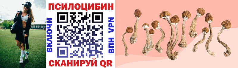 Галлюциногенные грибы мицелий  Шатура 
