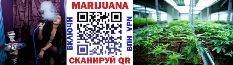 МАРИХУАНА сатива  Шатура 